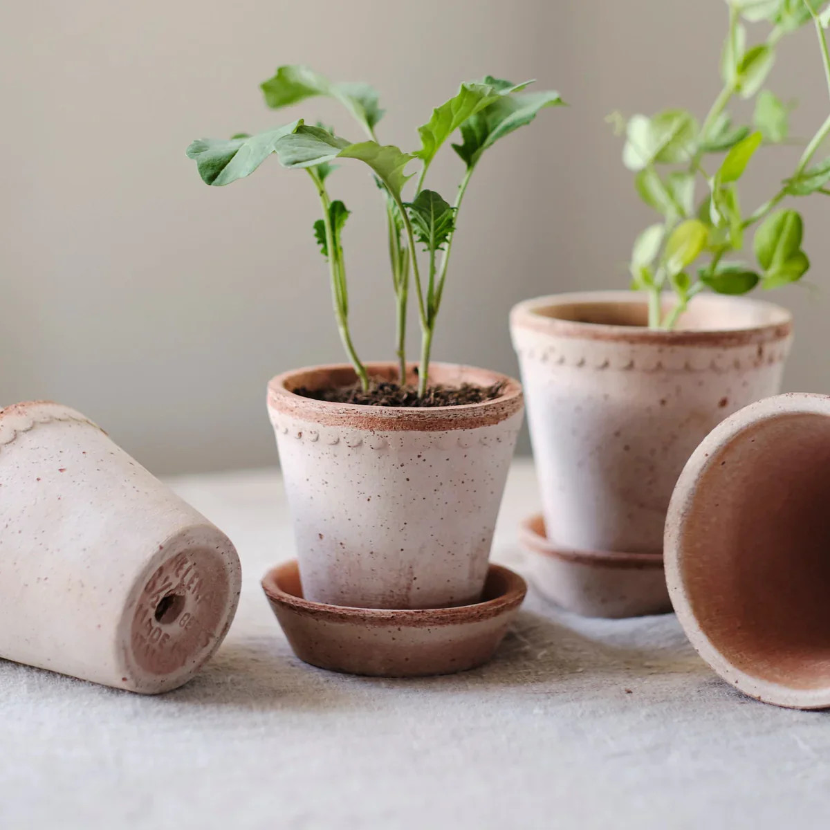 Bergs Potter Helena Pot | Italian Terracotta Pottery | Purple Rose Home | Purple Rose Home