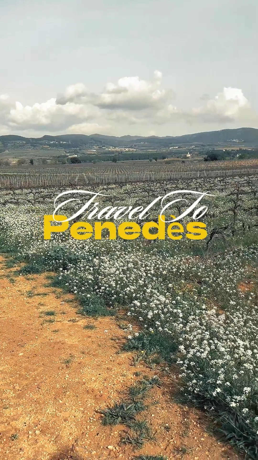 The perfect day trip from Barcelona 🍷 🍇 

The full itinerary is on our Instagram - LeisurelyLuna
• Train Ride
• Winery 
• Stays

I’ve linked my outfits and how I packed for our Day Trip!  From power adapters to winery fits for a bike ride through the vineyards 🚲 

And, as always, the perfect backpack to organize everything you need for your Europe travels!

#LTKActive #LTKTravel #LTKdayinmylife