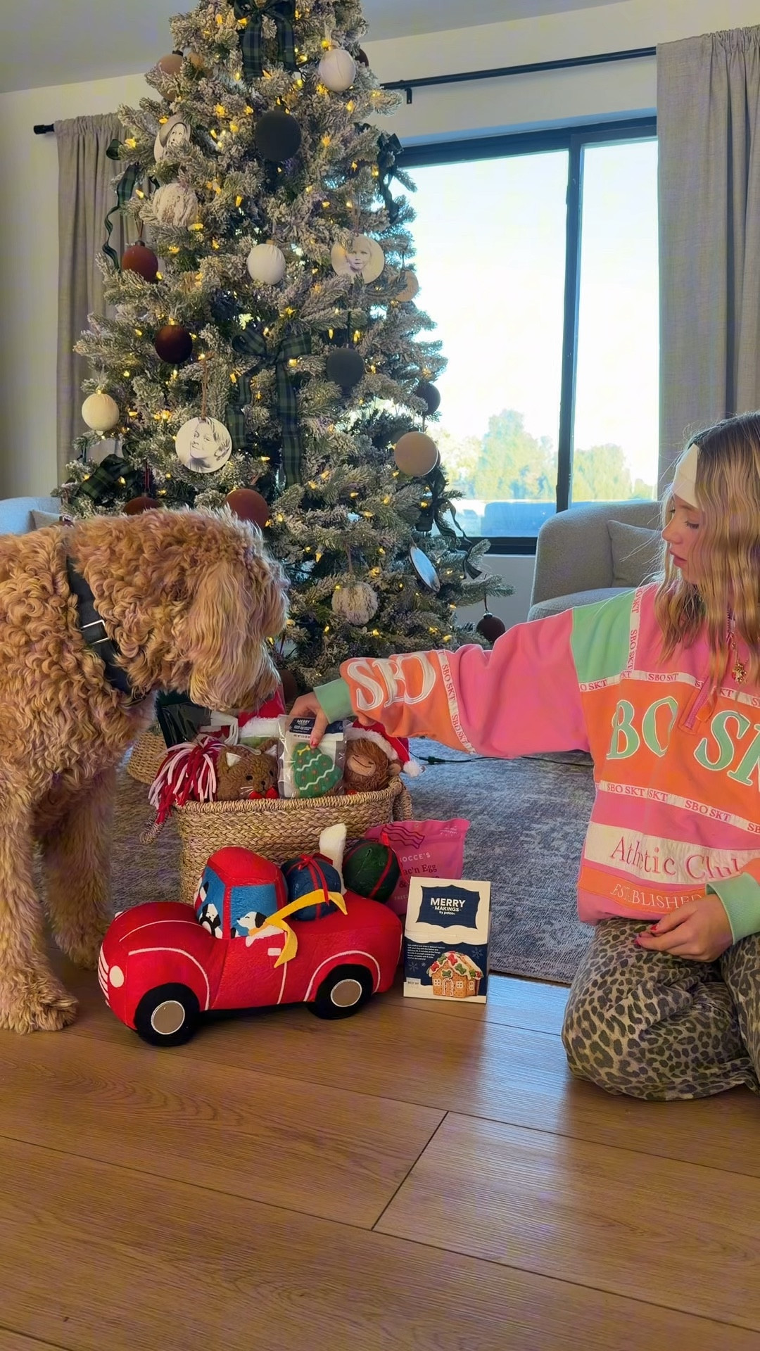 shop Quinn’s Christmas basket with all our favorites from petco! @Petco #PetcoPartner #ad 

#LTKSeasonal #LTKGiftGuide #LTKHoliday