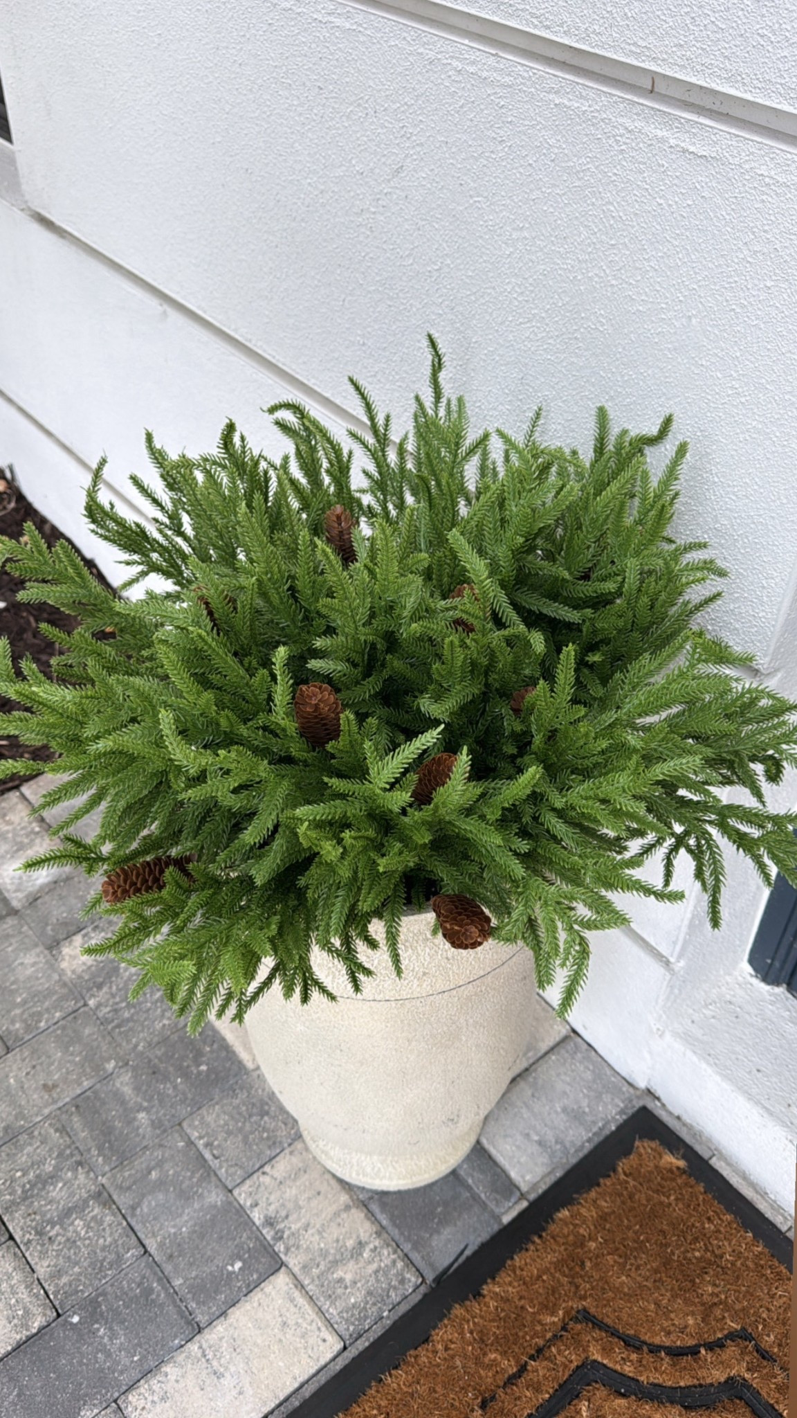 Pine stems from Amazon
Realistic 
Christmas decor
For planter /pot 


#LTKHome #LTKHoliday