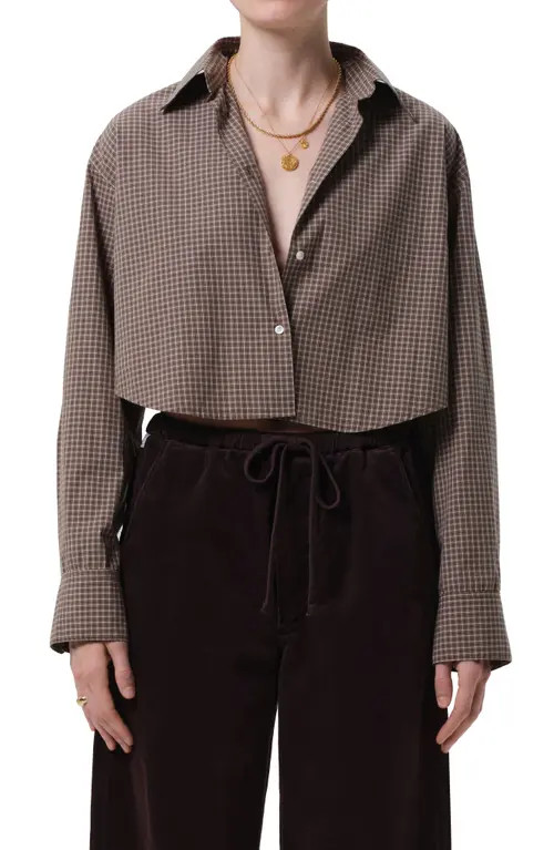 Citizens of Humanity Ana Crop Long Sleeve Button-Up Shirt in Hrtage Stripe at Nordstrom, Size Large | Nordstrom