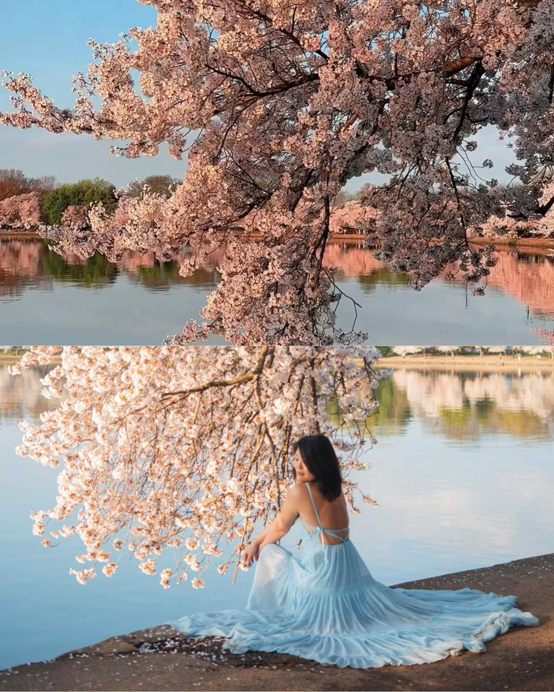 Blue maxi dress
Wedding guesst dress