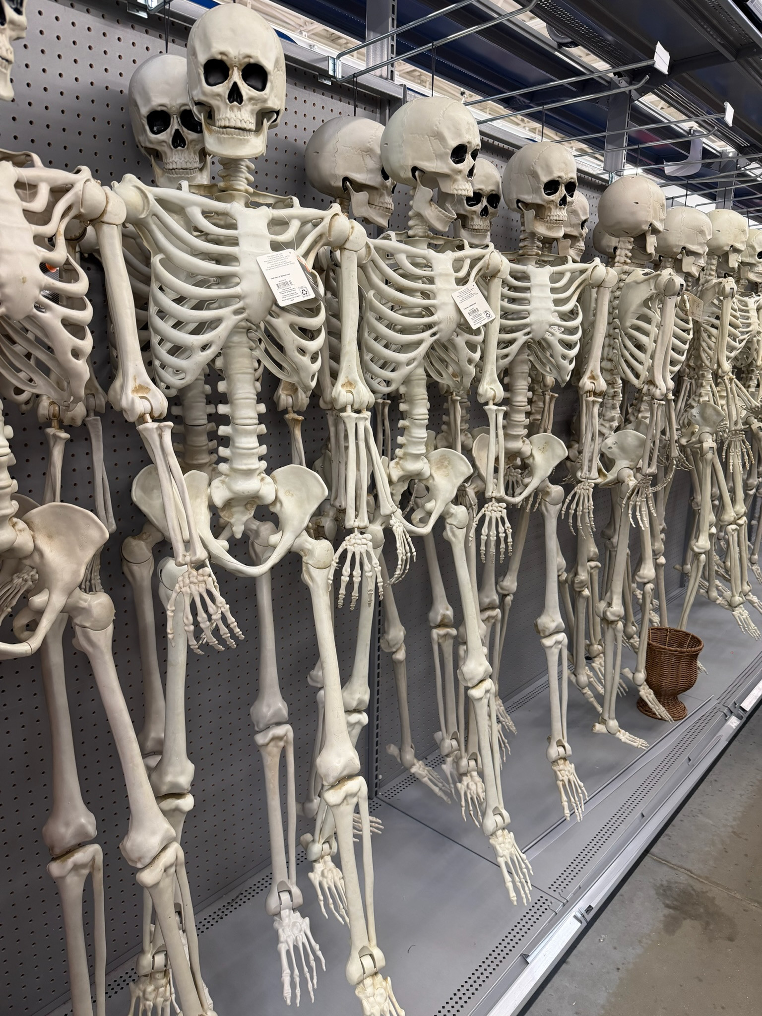 Halloween is officially taking over!!💀👻These skeletons are SO fun!





Halloween decor, skeleton decor, outdoor Halloween decor, spooky season, Halloween finds, Halloween home decor, fall decor, seasonal decor, carla.bushey 

 #LTKSeasonal #LTKHome