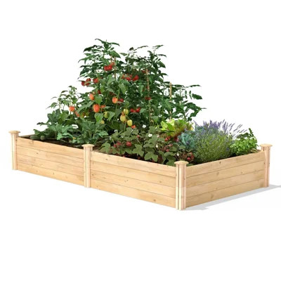 Katsuyoshi 4 ft x 8 ft Wood Raised Garden Bed | Wayfair North America