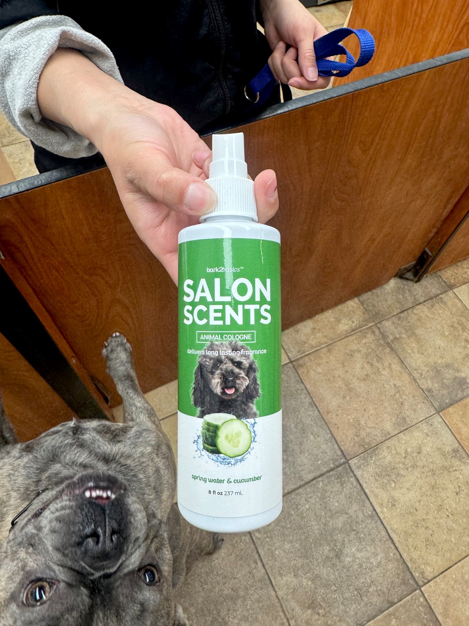 This is that “fresh from the groomer” smell 🐾✨ Our groomer uses this every time and I had to bring it home. Keeps Louis smelling clean in between appointments and it actually lasts. Trust me… you NEED this.

dog cologne, pet grooming essentials, dog grooming spray, fresh dog smell, dog care products, pet essentials, dog hygiene, grooming routine, french bulldog care, pet must haves