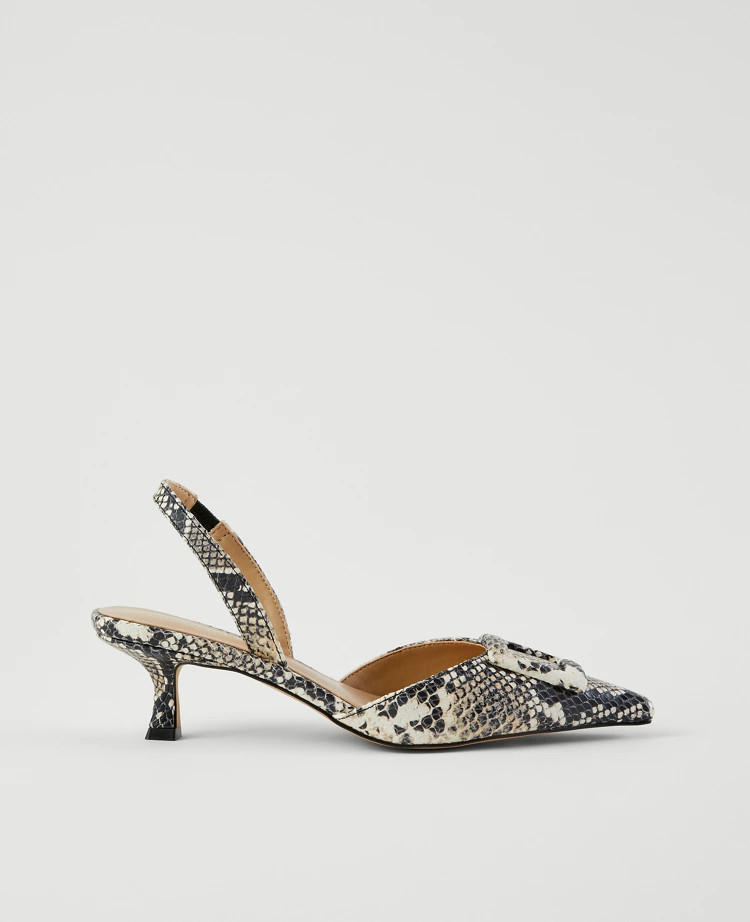 Snake Print Pointy Toe Buckle Slingback Pumps | Ann Taylor