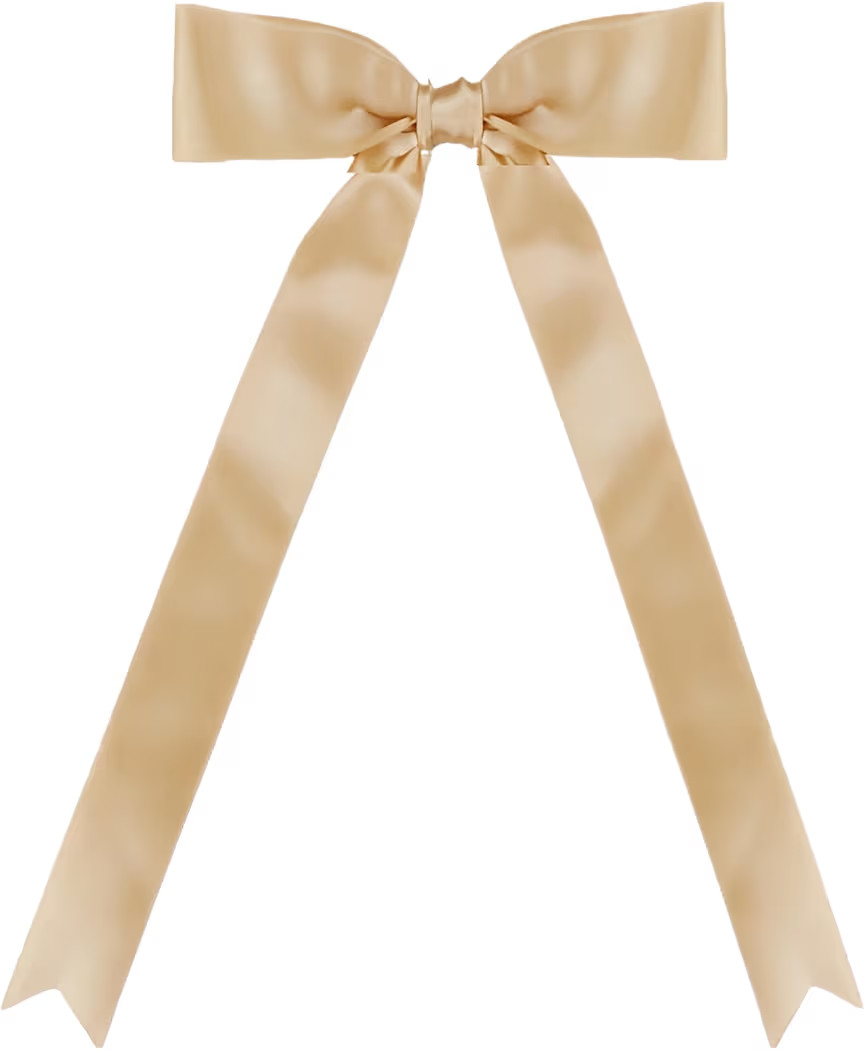 30 Pcs Latte Satin Bows 6 X 10 Inch Premade Bows with Twist Tie for Wedding Florist Decor, Cake P... | Amazon (US)