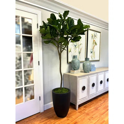 Toledo 7' Faux Fiddle Leaf Fig Tree in Fiberstone Pot | Wayfair North America