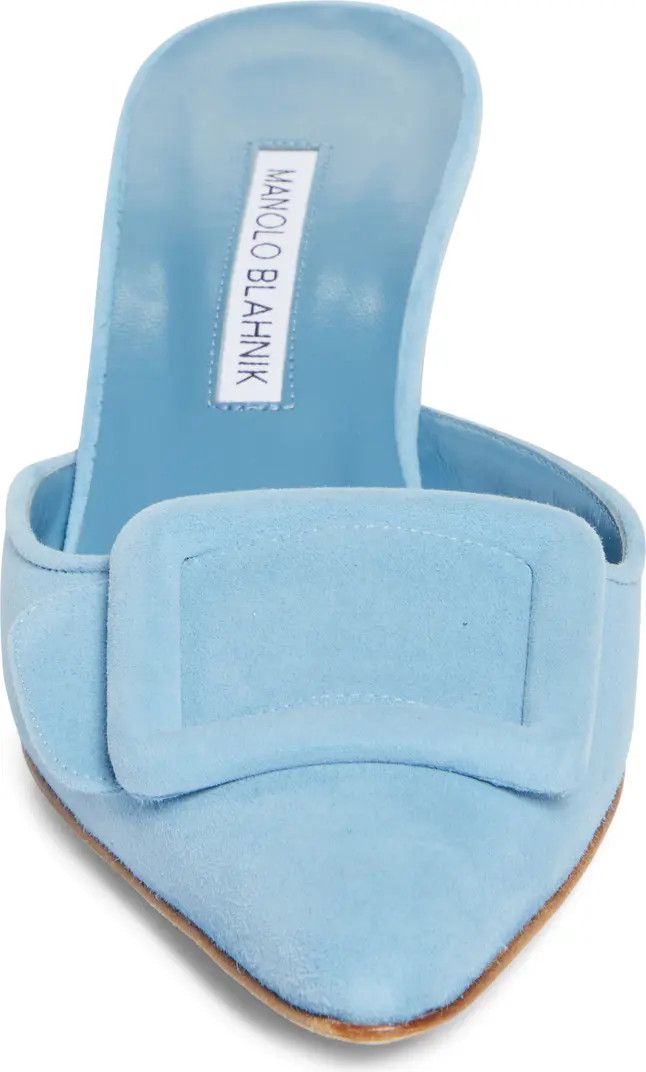 Manolo Blahnik Maysale Buckle Pointed Toe Mule (Women) | Nordstrom | Nordstrom