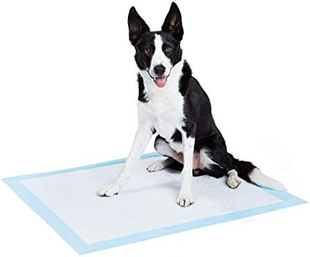 AmazonBasics Dog and Puppy Pee, Potty Training Pads, Heavy Duty Absorbency | Amazon (US)