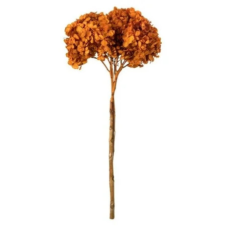Vickerman H1HYD750 15-18 in. Autumn Hydrangea Stems | Walmart (US)