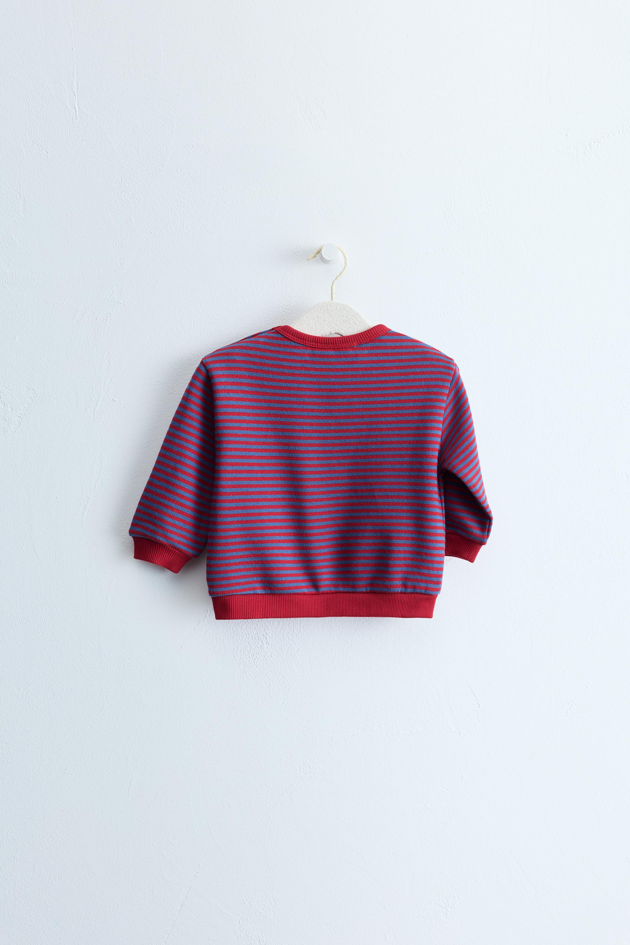 ZARA TIMELESS - STRIPED PRINT SWEATSHIRT | Zara US