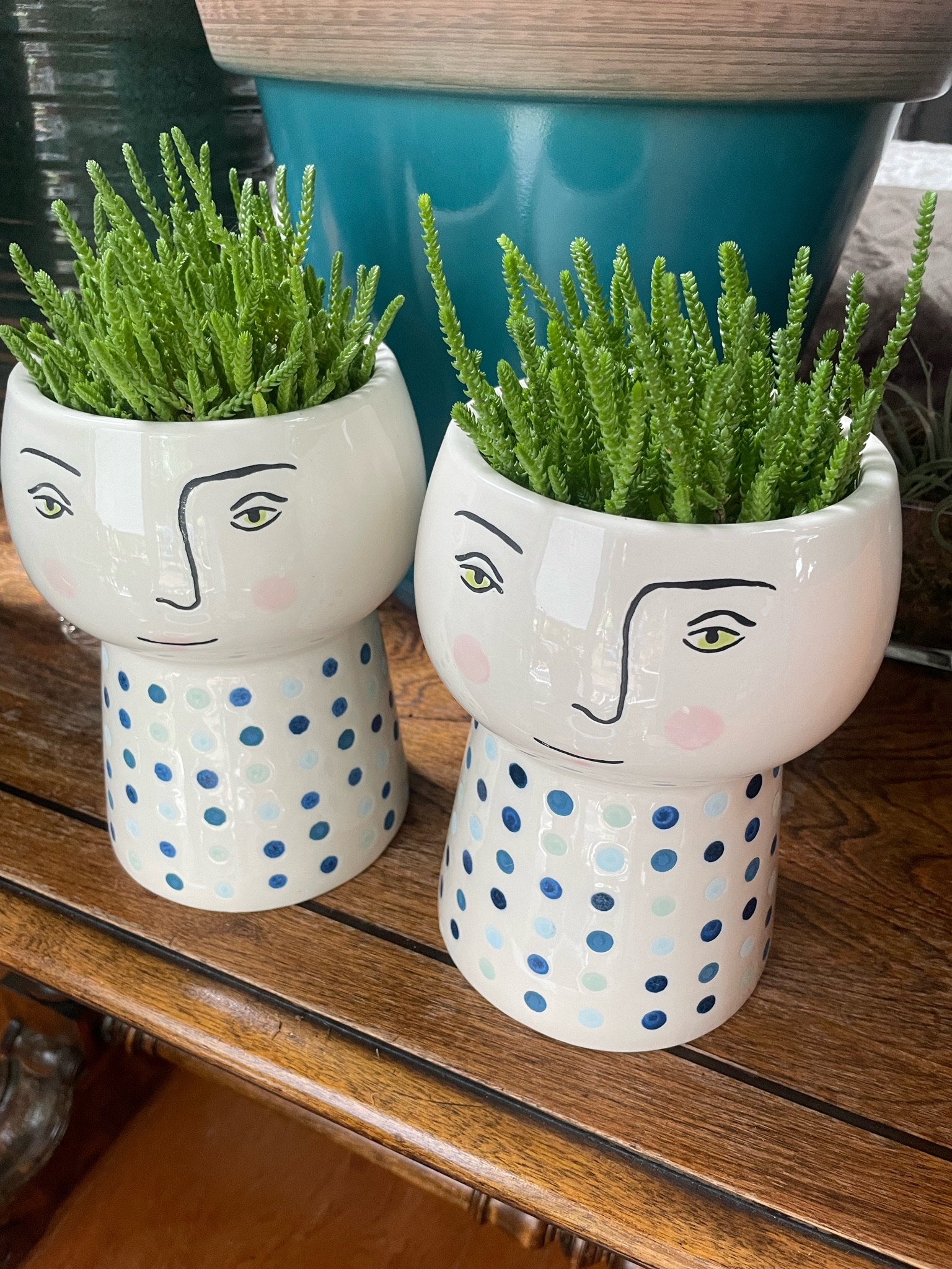  Ceramic  animal  planter 

#LTKFind #LTKSale #LTKhome