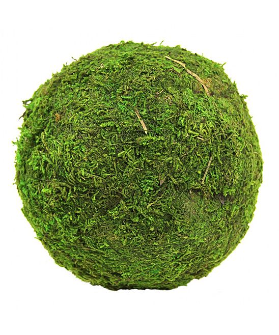 Koyal Wholesale - Green Moss Ball - Set of Six | Zulily