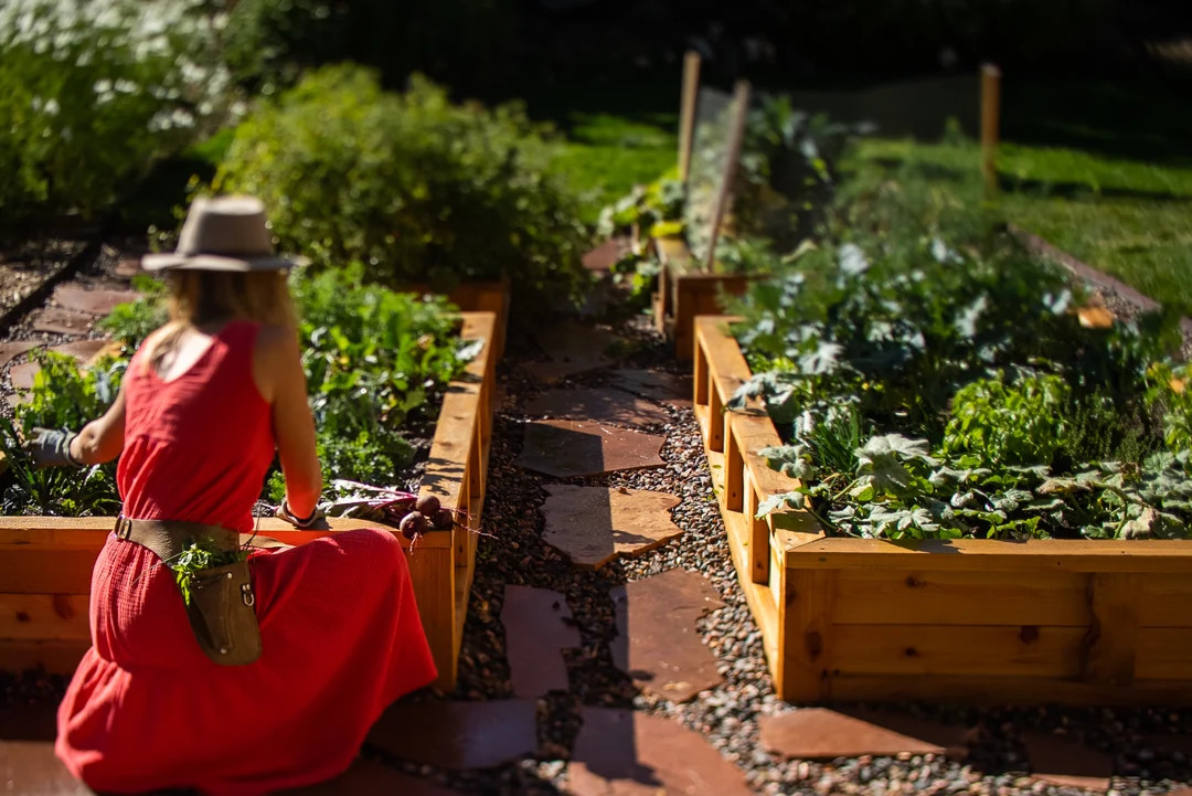Cedar Raised Garden Beds  Multiple Sizes - Etsy | Etsy (US)