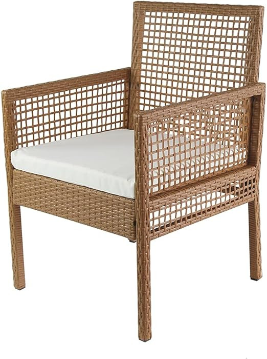 Amazon Brand - Ravenna Home Modern Outdoor Patio Dining Chairs with Cushion, Weather-Resistant PE... | Amazon (US)