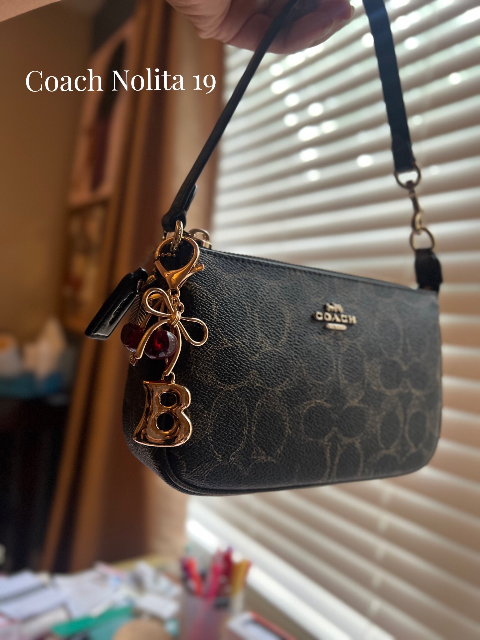 The Coach Nolita 19 is such a beautiful bag and surprisingly she quite a bit (small wallet, iPhone, gloss, camera, etc)

Coach purse, affordable purse, handbag, small bags, everyday purse, summer purse, COACH handbag, bag charm

#LTKSaleAlert