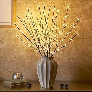 EAMBRITE 6PK Lighted Branches Brown Twig Stake with 120LED Warm White Lights, 30" Pathway Light f... | Amazon (US)
