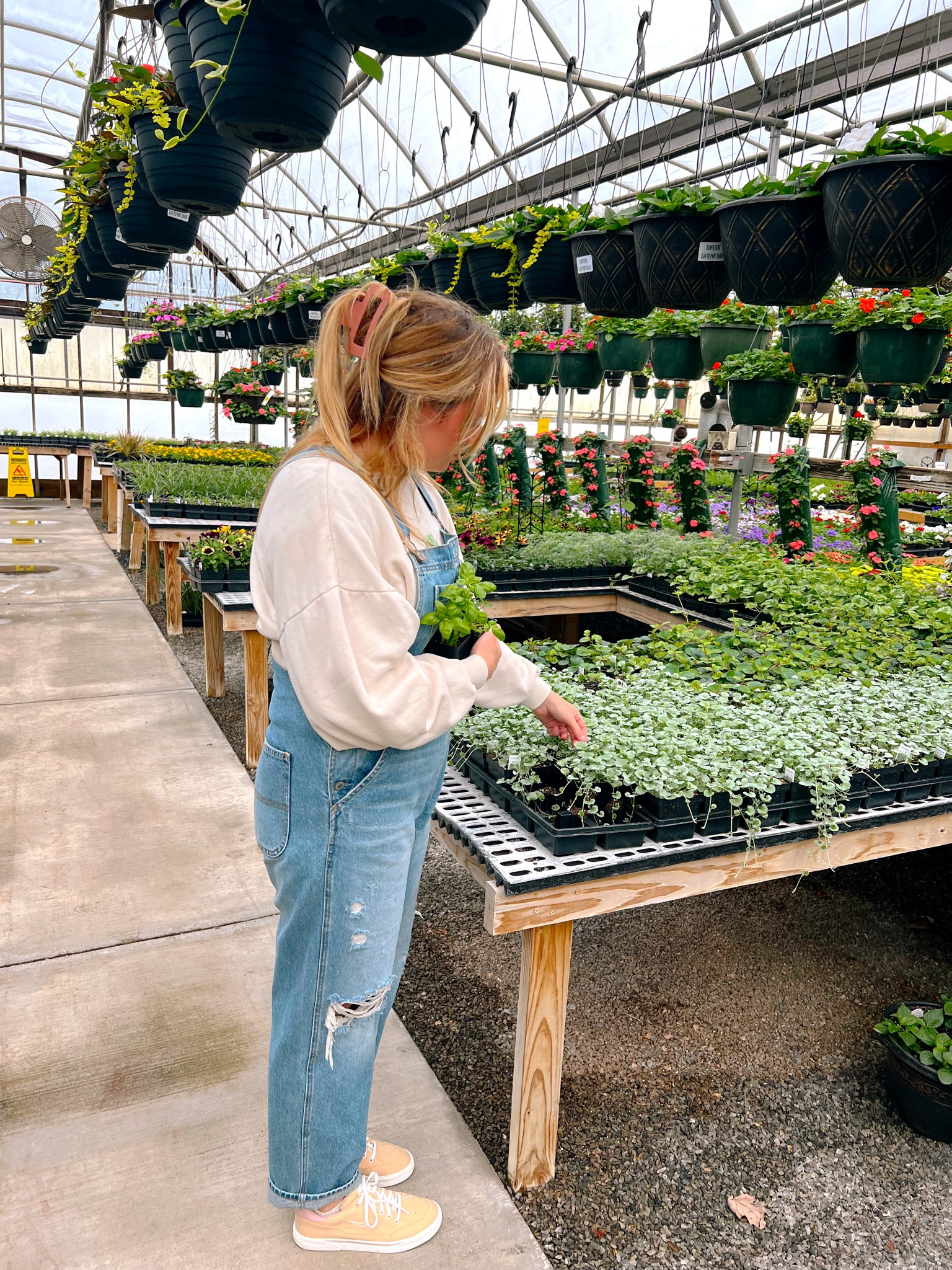 Spring Flower Shopping 🌷 #overalls #abercrombie #sneakers 

#LTKSeasonal #LTKmidsize #LTKstyletip