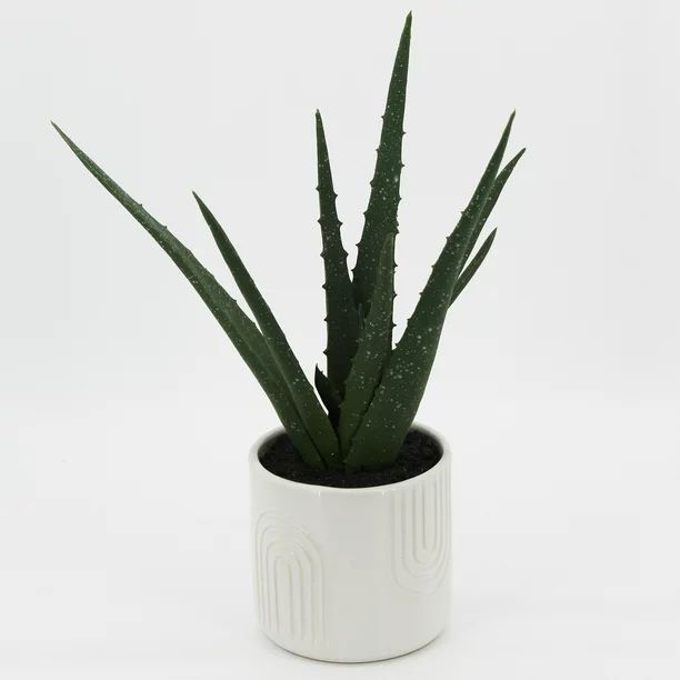 Mainstays Faux Aloe Vera Plant with White Rainbow Planter, 11.25" Height, Green Aloe Vera | Walmart (US)