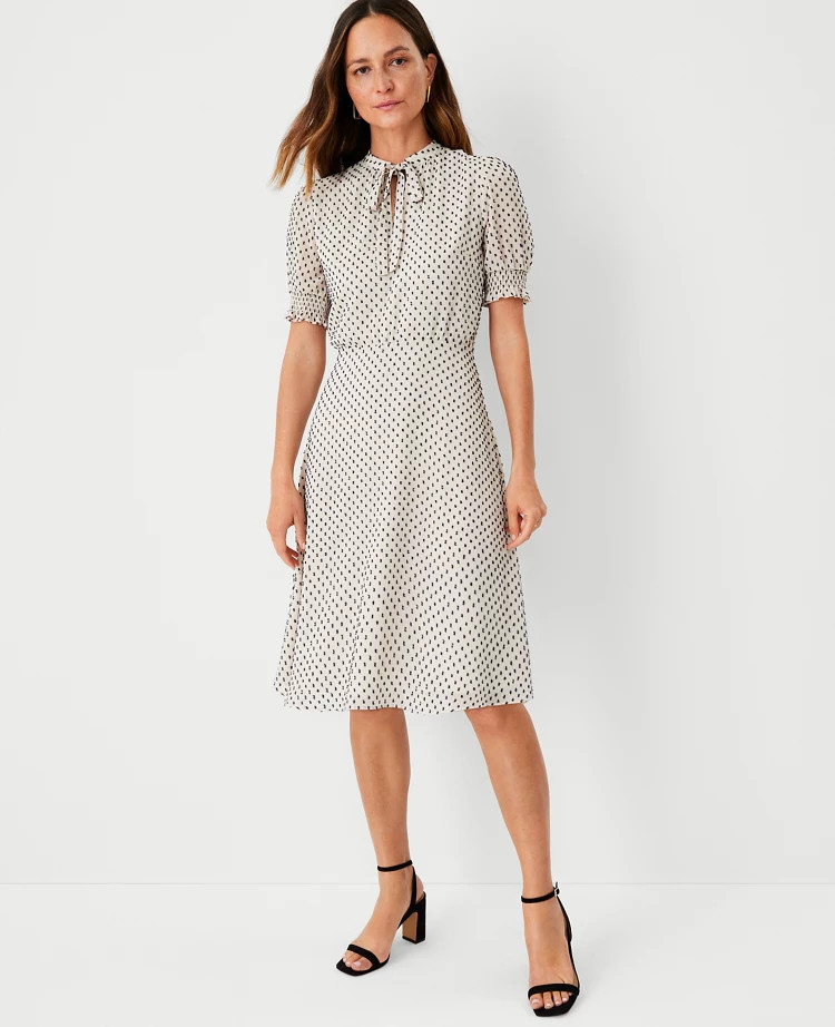 Clip Tie Neck Flare Dress | Ann Taylor (US)
