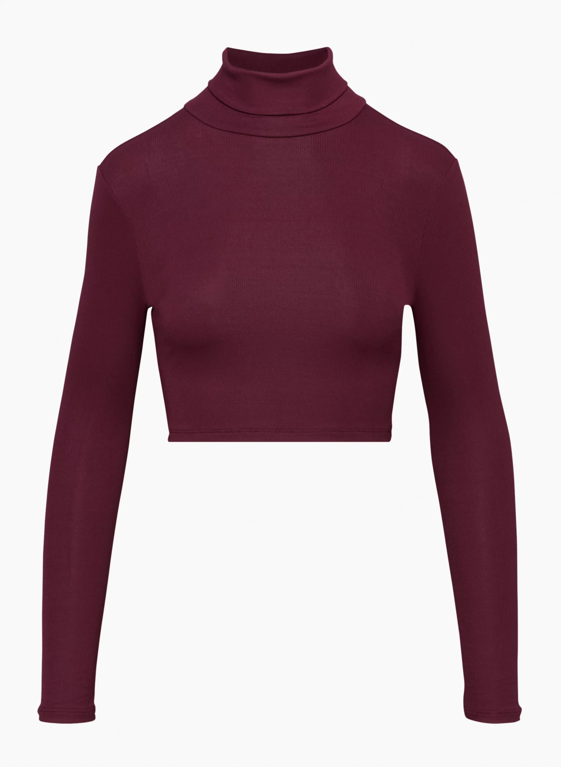 FRESHMAN CROPPED TURTLENECK | Aritzia
