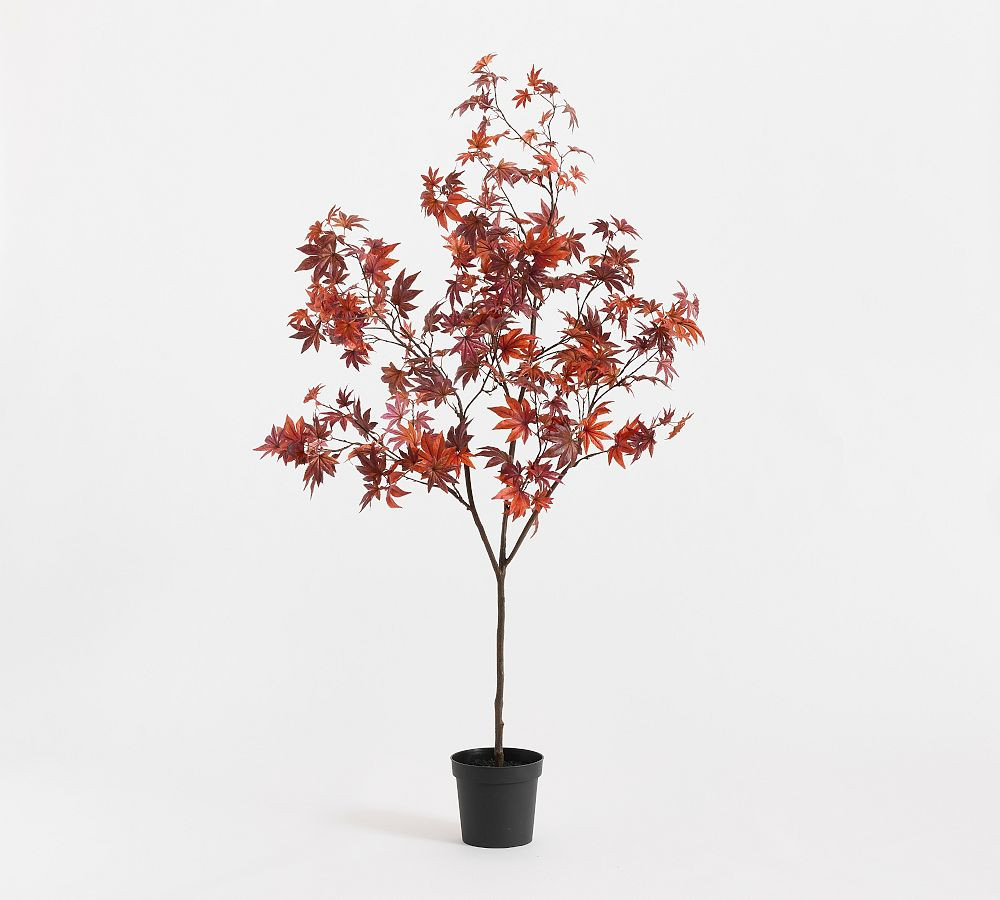Faux Potted Turning Maple Leaf Tree | Pottery Barn (US)