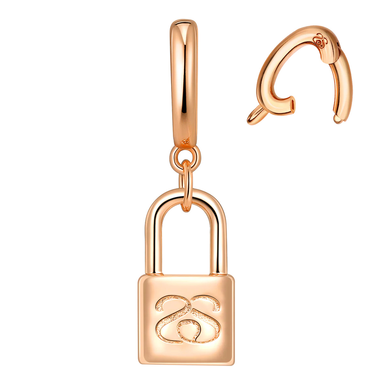 Interchangeable SS Lock Charm | Sparkl