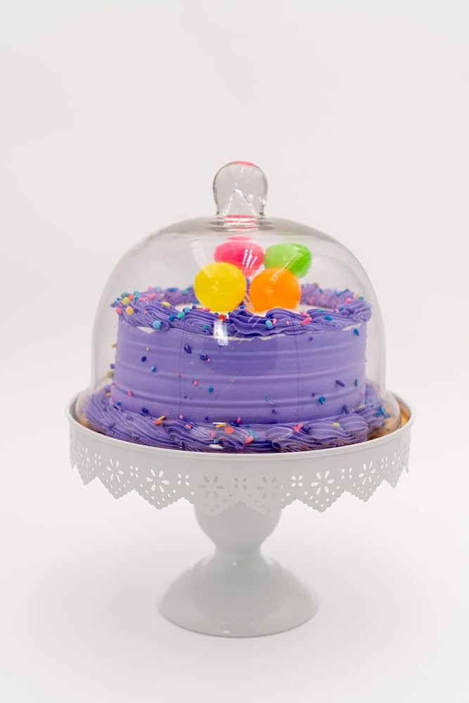 Small Round Cake, Dessert, and Pastries Pedestal Stand with Glass Dome Lid Serving Platter, Metal... | Amazon (US)