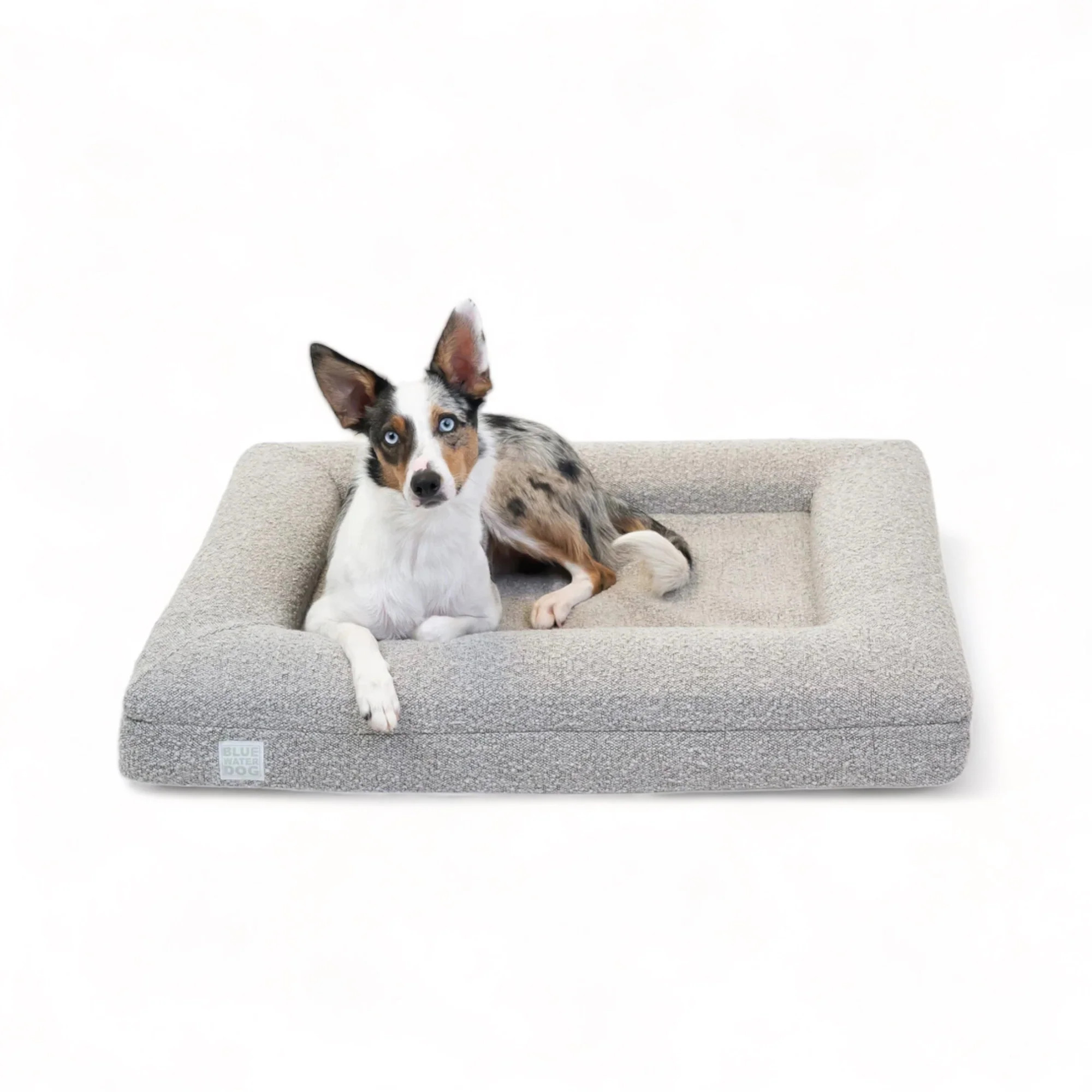 Medium Luxury Bouclé Orthopedic Bluewater Dog Bed (Sand) | Bluewater Dog