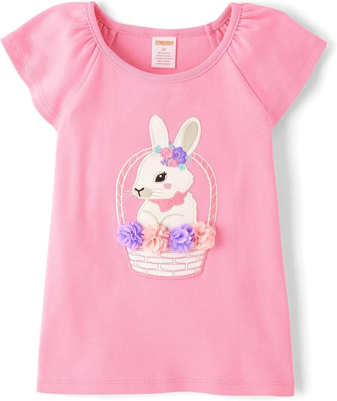 Gymboree Girls' and Toddler Embroidered Graphic Short Sleeve T-Shirts | Amazon (US)