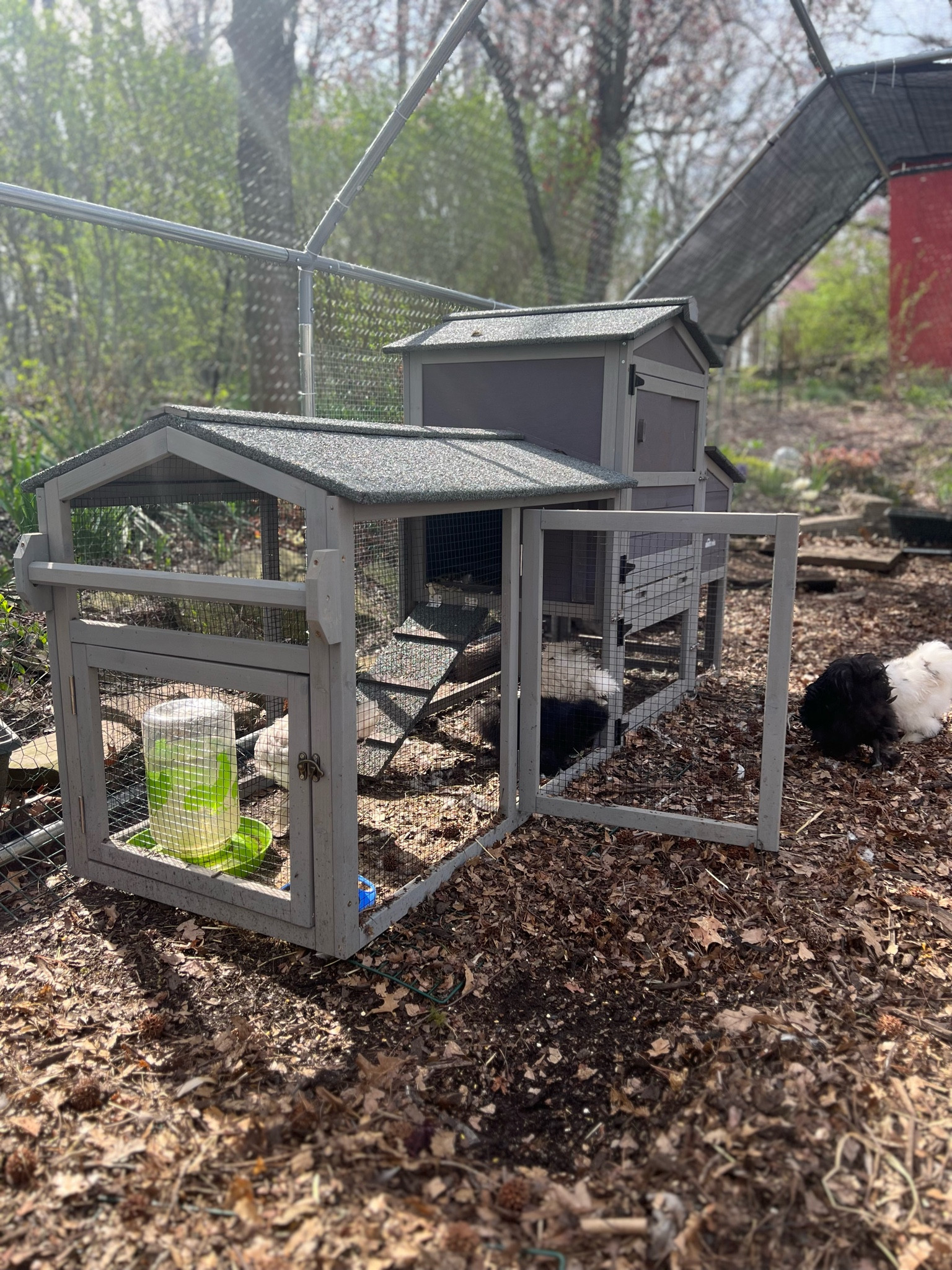 Backyard Chicken coop for your small flock! Your chickens will love this coop

#LTKHome #LTKFamily #LTKPets