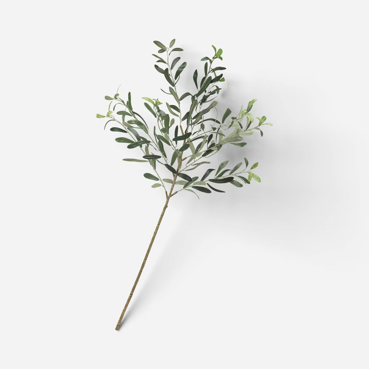 Olive Branch - Threshold™ | Target