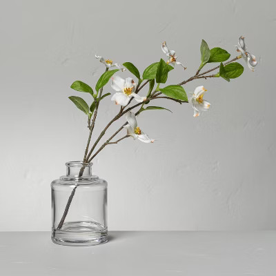Large Faux White Dogwood Flower Arrangement - Hearth & Hand™ with Magnolia | Target