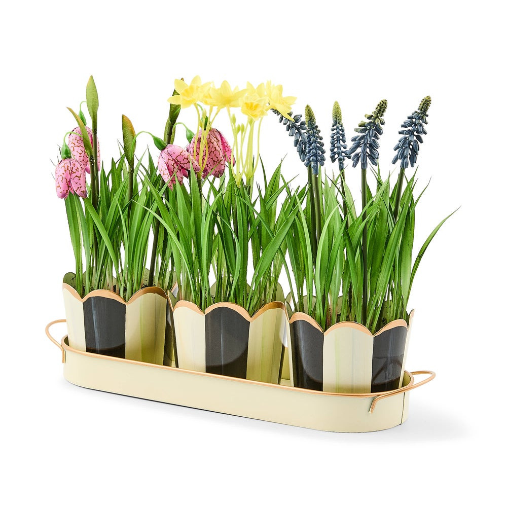 Courtly Stripe Triple Potted Blooms | MacKenzie-Childs