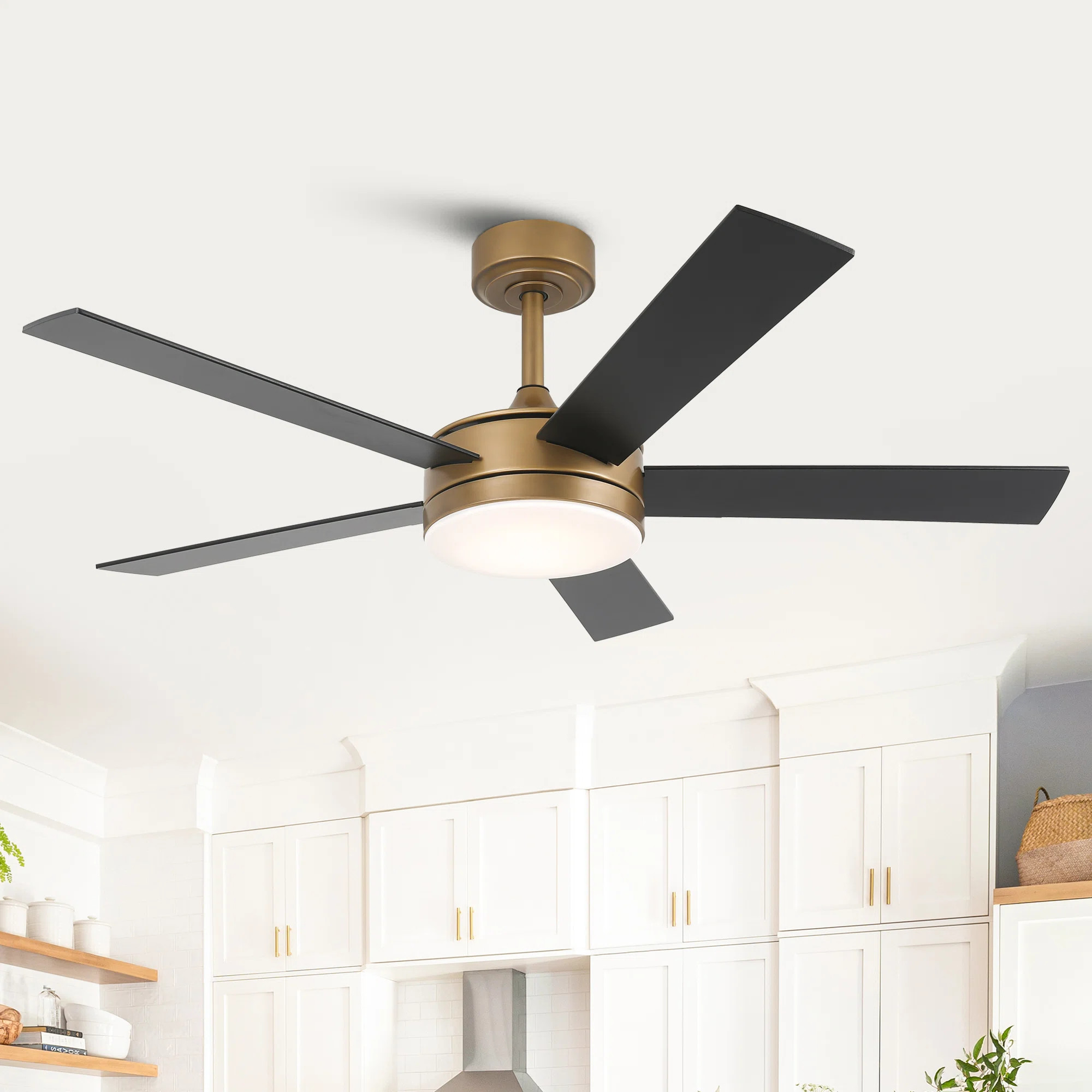 Vaczon 48" Modern Smart Dimmable Ceiling Fan with 3CCT LED Lights, 6-Speed Reversible DC Motor, T... | Wayfair North America