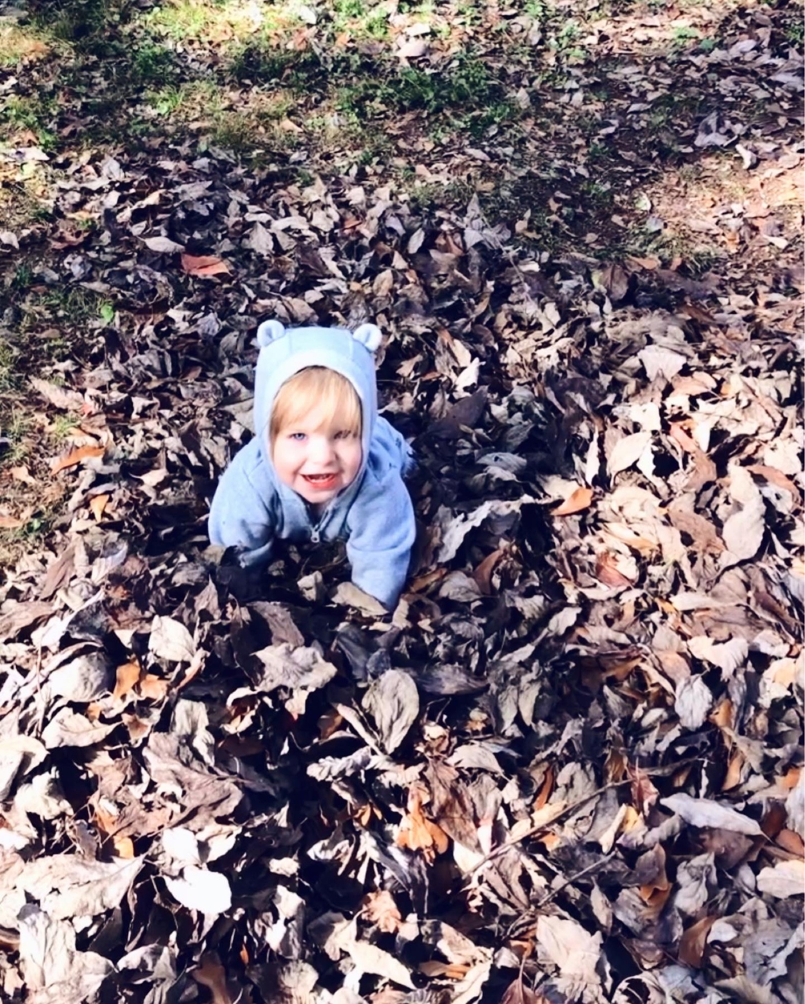 Goodness GRACIOUS, I sure do love this little fall-loving baby!!! Our pride and joy!! 👼🏼🍂 It sure is fun soaking in allll the seasons with you, sweet Judson!! 🍁✨🦃🎄#lifelately #fallbaby #novembergratitude

…

#emilysayswes #judsoncarpentermabry #seventeenmonthsold #seventeenmonthold #seventeenmontholdbaby #seventeenmontholdboy #judsonmonthbymonth #sweetjudson #oursweetboy #oneyearold #oneyearoldbaby #oneyearoldbabyboy #oneyearoldboy #gratefulmotherhood #fallfun #autumnmemories #thankyoulord #sweetfallmemories #mysweetboys #ourlittlepumpkin #hellonovember #novembermemories #alltheseasons 

#LTKhome #LTKbaby #LTKfamily