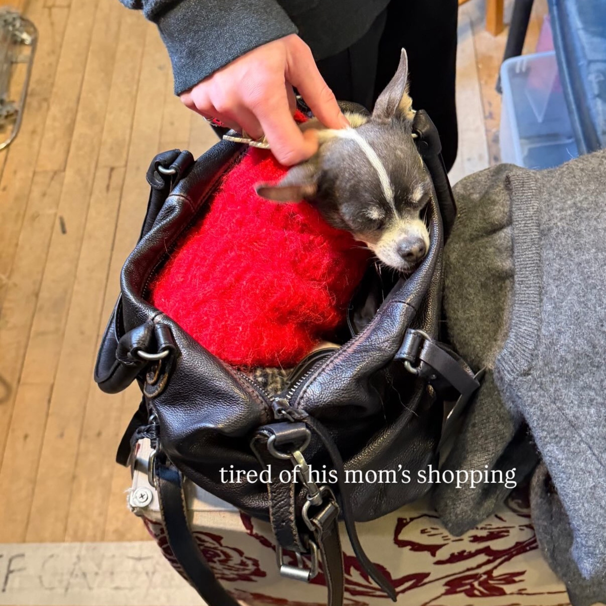 this Free People bag fits Lou perfectly inside ❤️

#LTKootd #LTKSeasonal