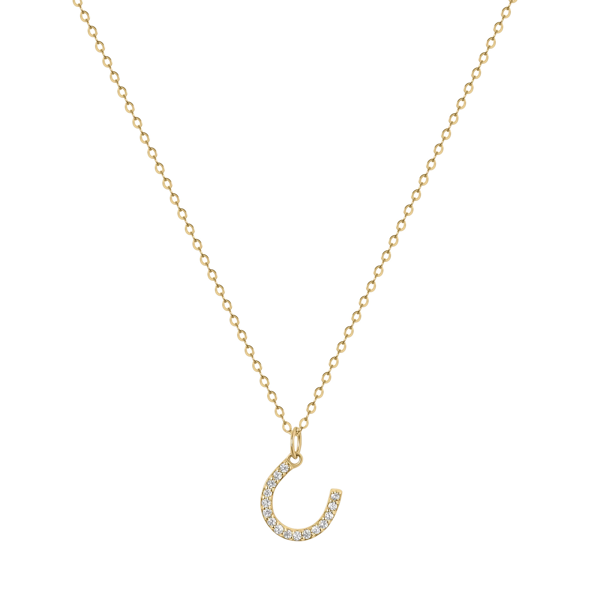 Lucky Charm Necklace | Electric Picks Jewelry