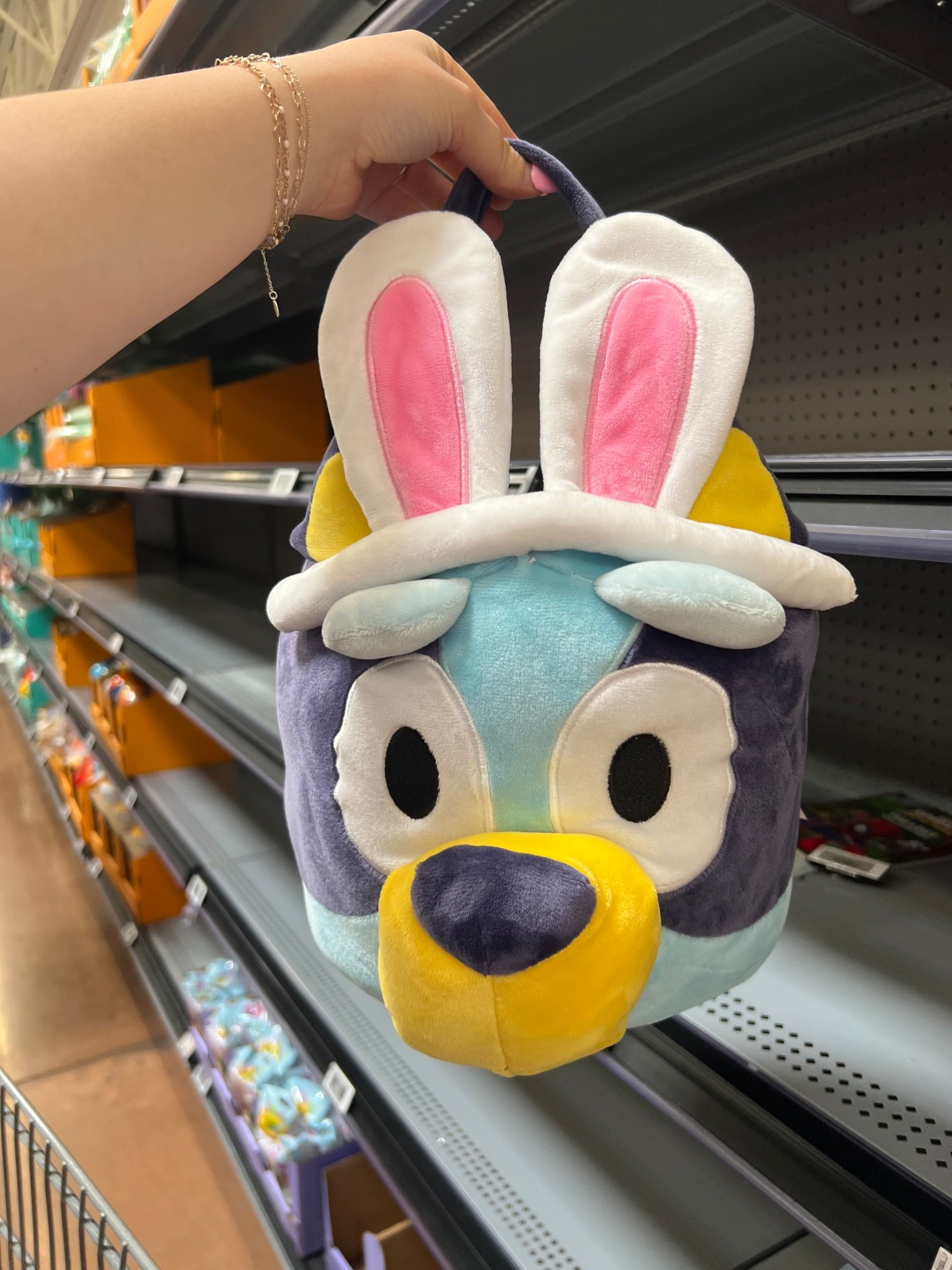 The cutest Easter basket for all the bluey obsessed kiddos 😍

#easterbasket #bluey #walmartfinds

#LTKmomlife #LTKKids #LTKSeasonal