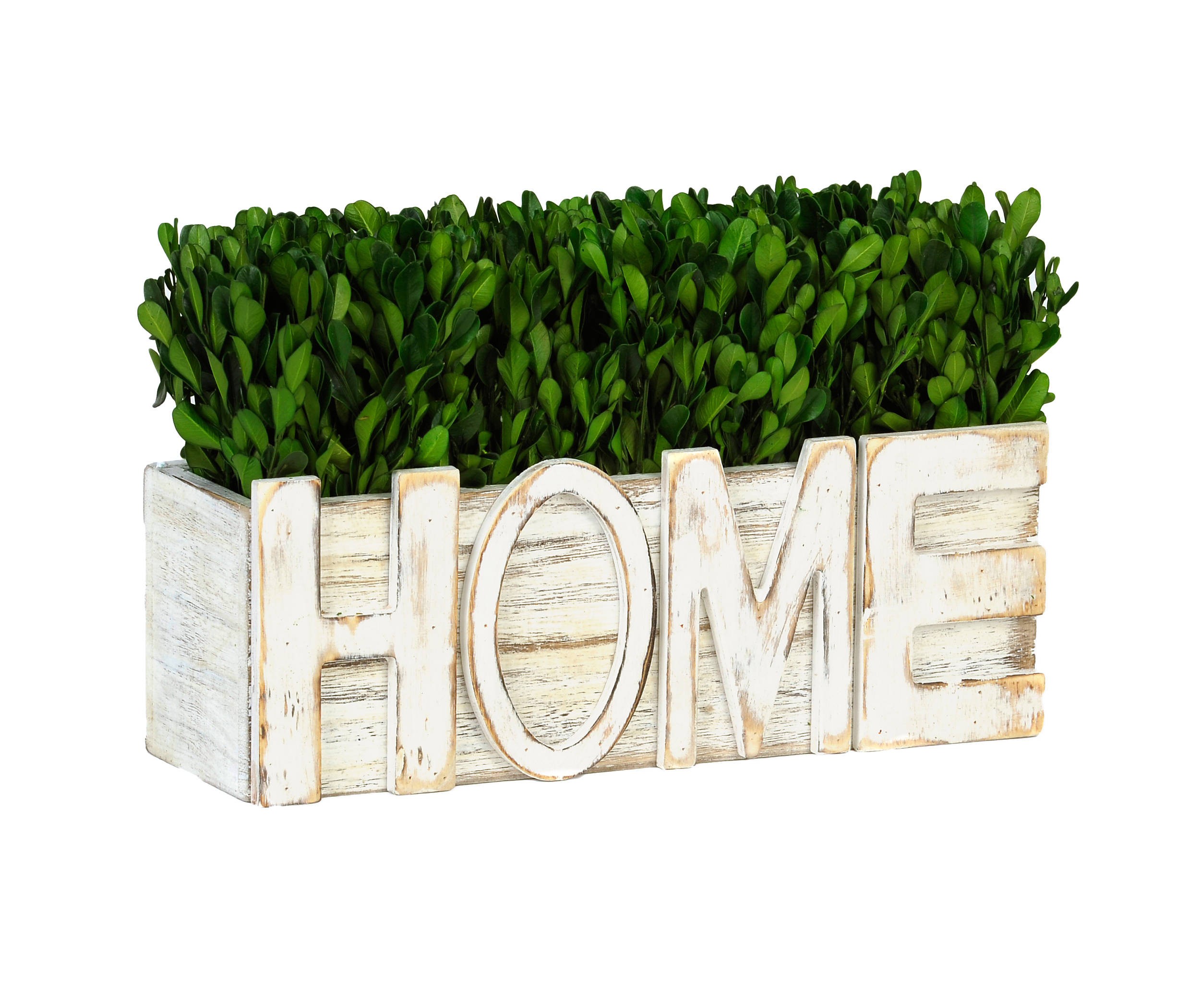 Home Boxwood Arrangement | Kirkland's Home