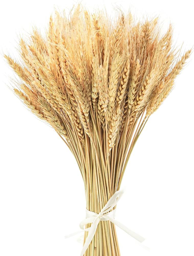 Uieke 17.7 Inches Dried Wheat Stalks, 100 Stems Dried Flowers 100% Natural Wheat for Home Kitchen... | Amazon (US)