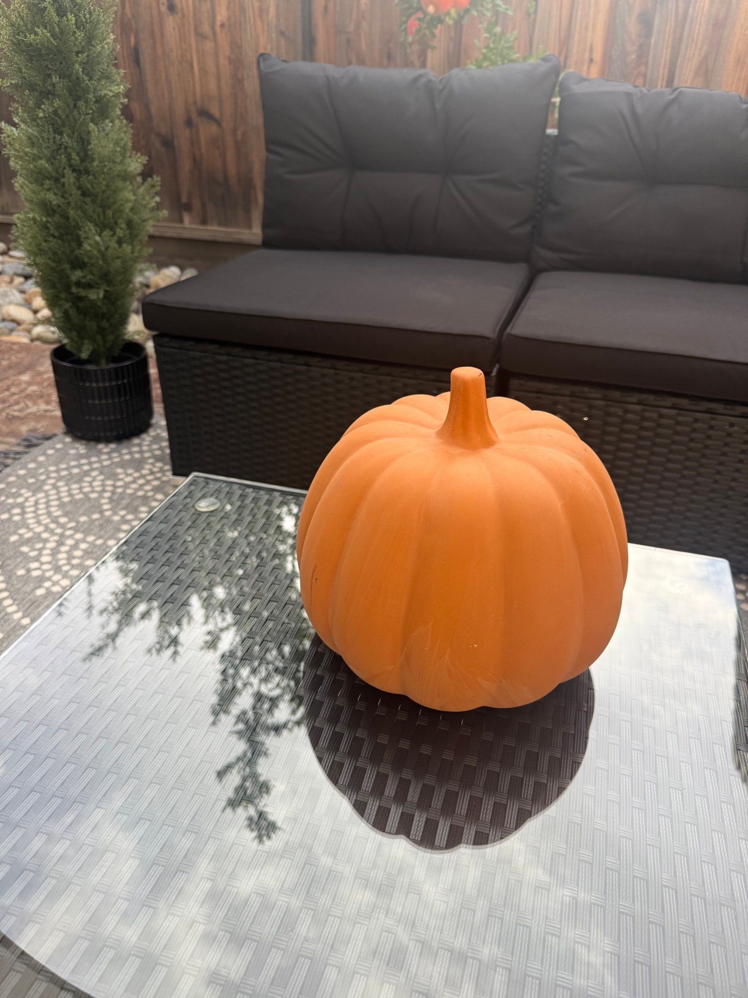 Pottery Barn look for less! 🎃 Grabbed this gorgeous pumpkin for under $30—so happy I didn’t splurge!

#LTKHome #LTKFindsUnder50 #LTKSeasonal