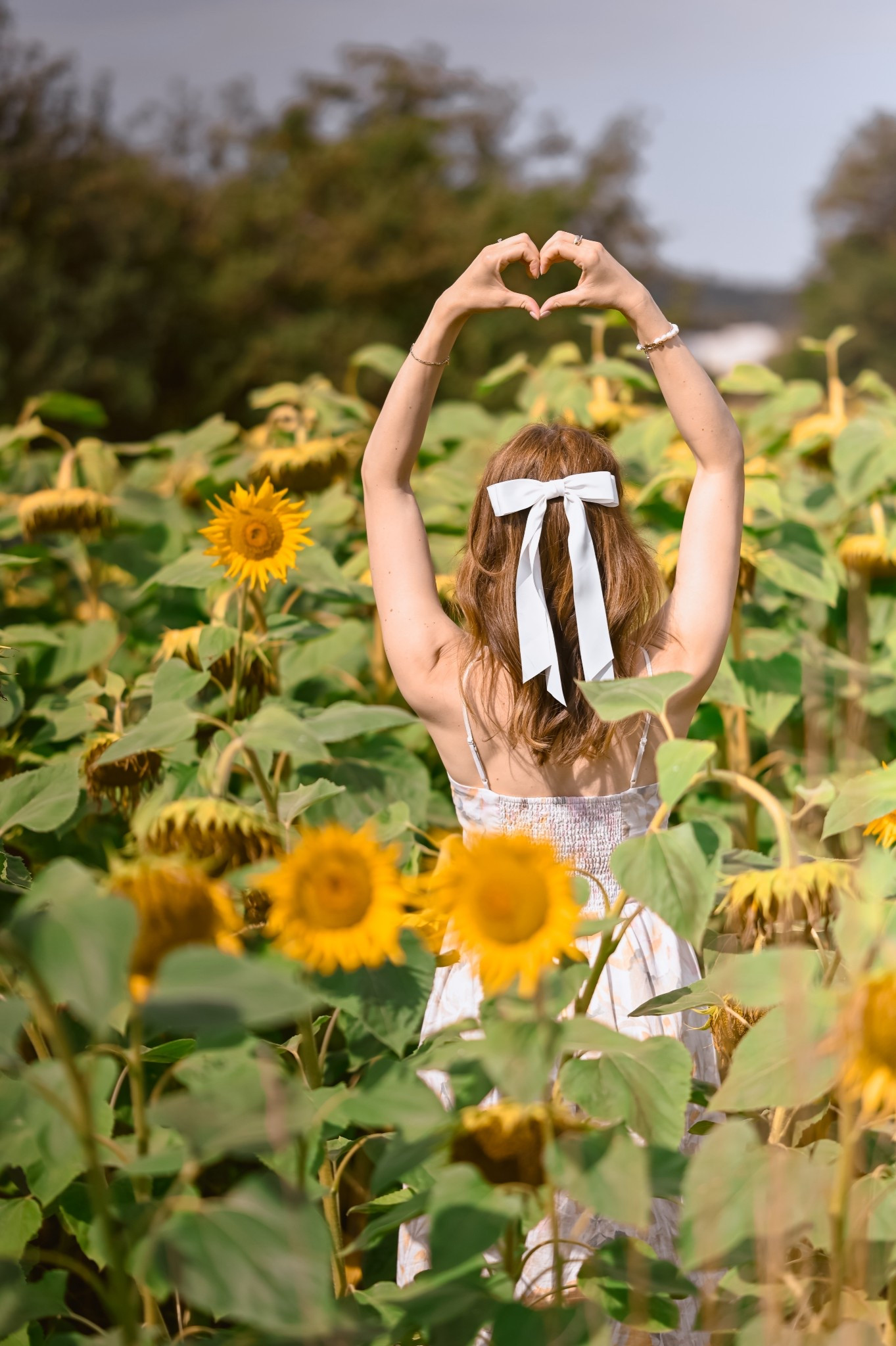 Among the sunflowers 🌻🤍

White satin hair bow – VeryShine on Etsy
White straw hat – Zalando
White sleeveless linen midi dress with pastel floral pattern – H&M

If any of these aren’t current or available, I’ve linked alternatives. 🤍

#LTKtravel #LTKeurope #LTKsummer