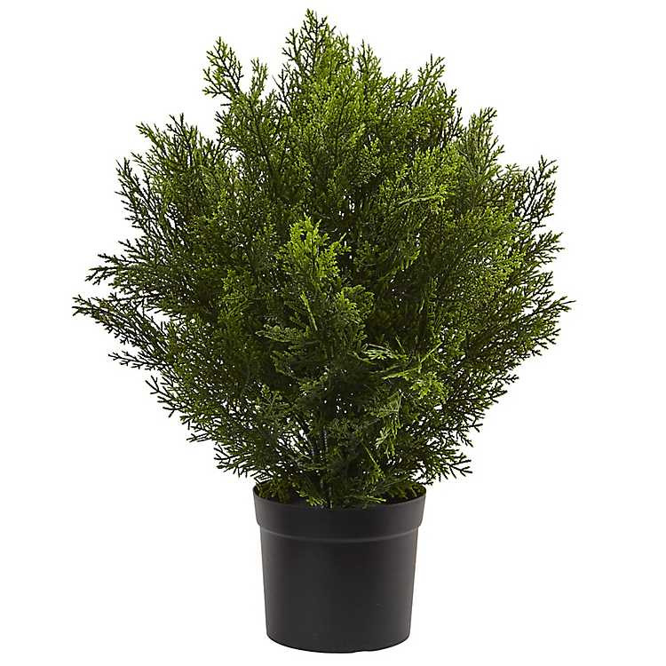UV Resistant Cedar Plant | Kirkland's Home