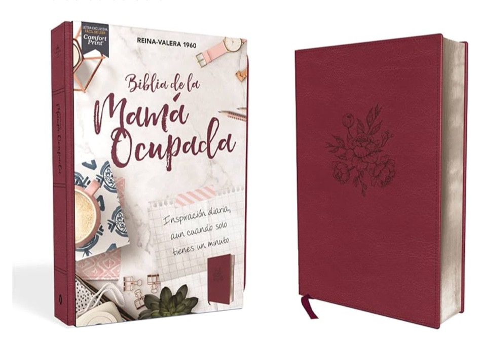 Biblia RVR 1960: Para la mamá ocupada!