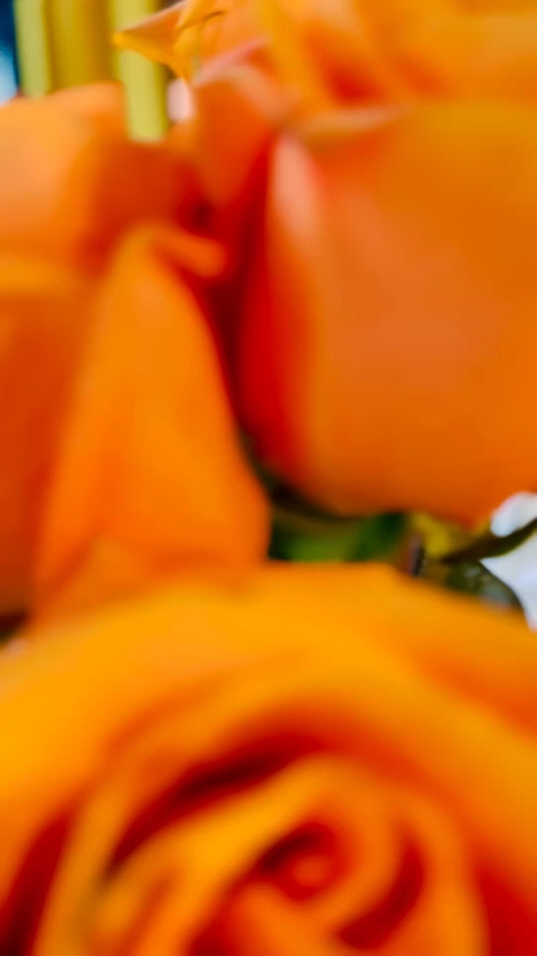Sunday things 🌹🍂

Fresh flowers, little seasonal touches, and making home feel beautiful just because. I’m slowly welcoming those warm fall colors back into my space, and these orange roses understood the assignment. 🧡

It doesn’t take a whole home refresh—sometimes flowers and a few little details completely change the mood.
@Michaels 
@amazonfindsandfashion 
Shop my home + seasonal finds below. ✨

#LTKHome #LTKSeasonal #FallHome #FallDecor #HomeInspo #SundayAtHome

#LTKdayinmylife #LTKmorningroutine #LTKHome