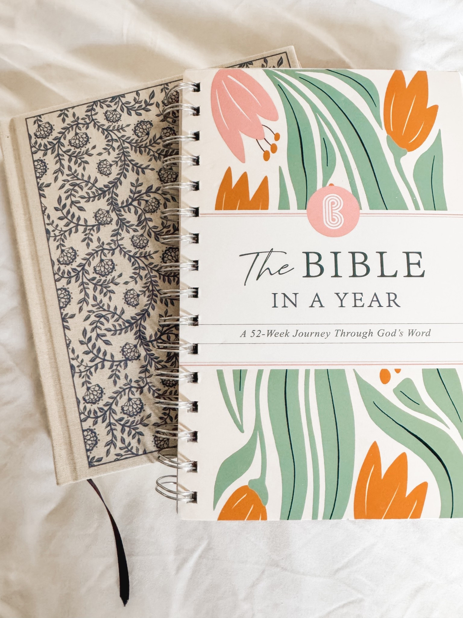 Want to read the Bible in a year??? 

Here is an amazing weekly guide to help you! 

#LTKSaleAlert #LTKHome #LTKFindsUnder50