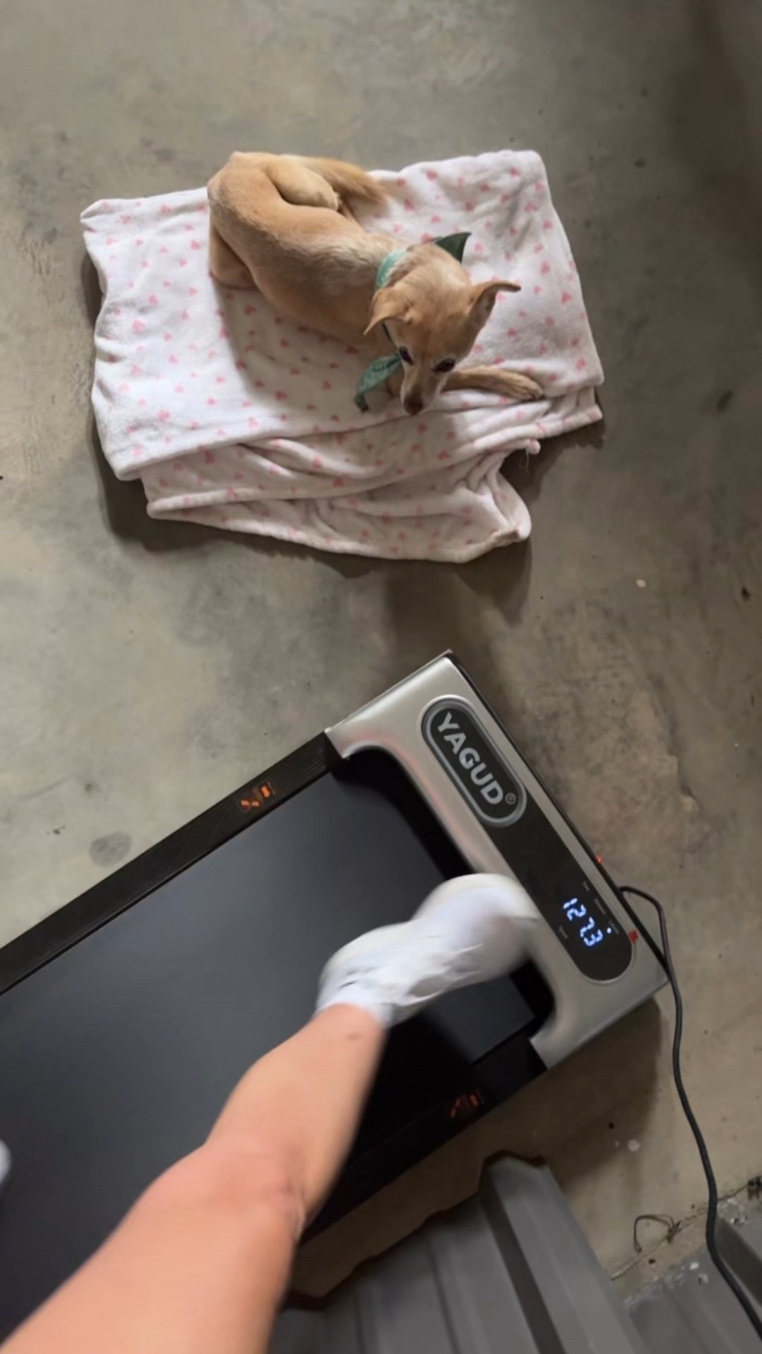 The best investment other than my animals.. 

#LTKBeauty #LTKSwim #LTKActive