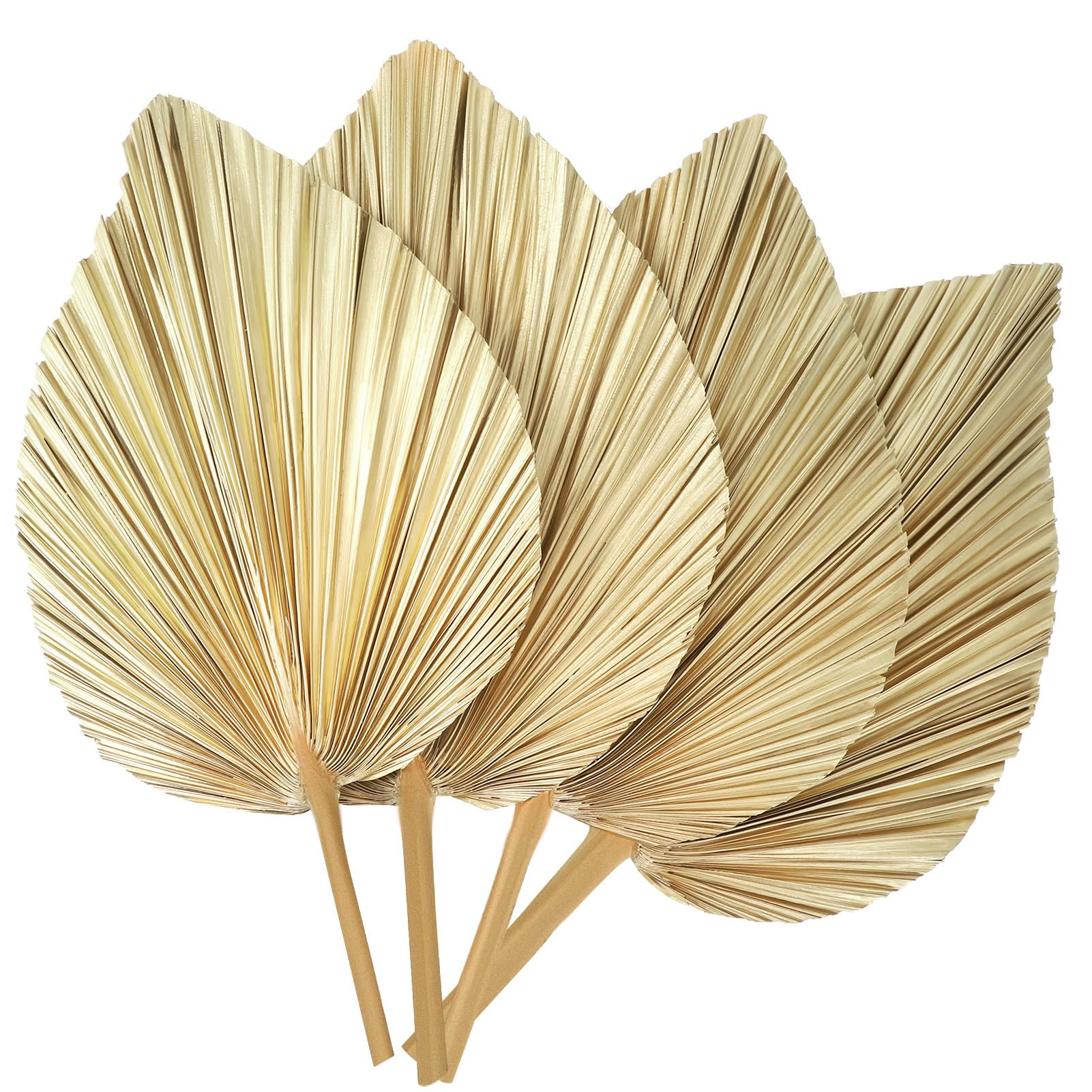 4 Pcs Large Dried Palm Leaves, Natural Boho Fans With Stem, Tropical Decor for Vase, Baby Shower, Anniversary, Home, Wedding | Amazon (US)